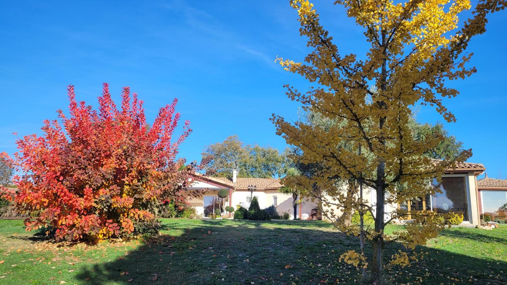 Le Clos Castel - Gite Equipe Casteljaloux Luaran gambar