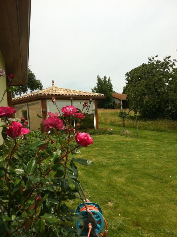 Le Clos Castel - Gite Equipe Casteljaloux Luaran gambar